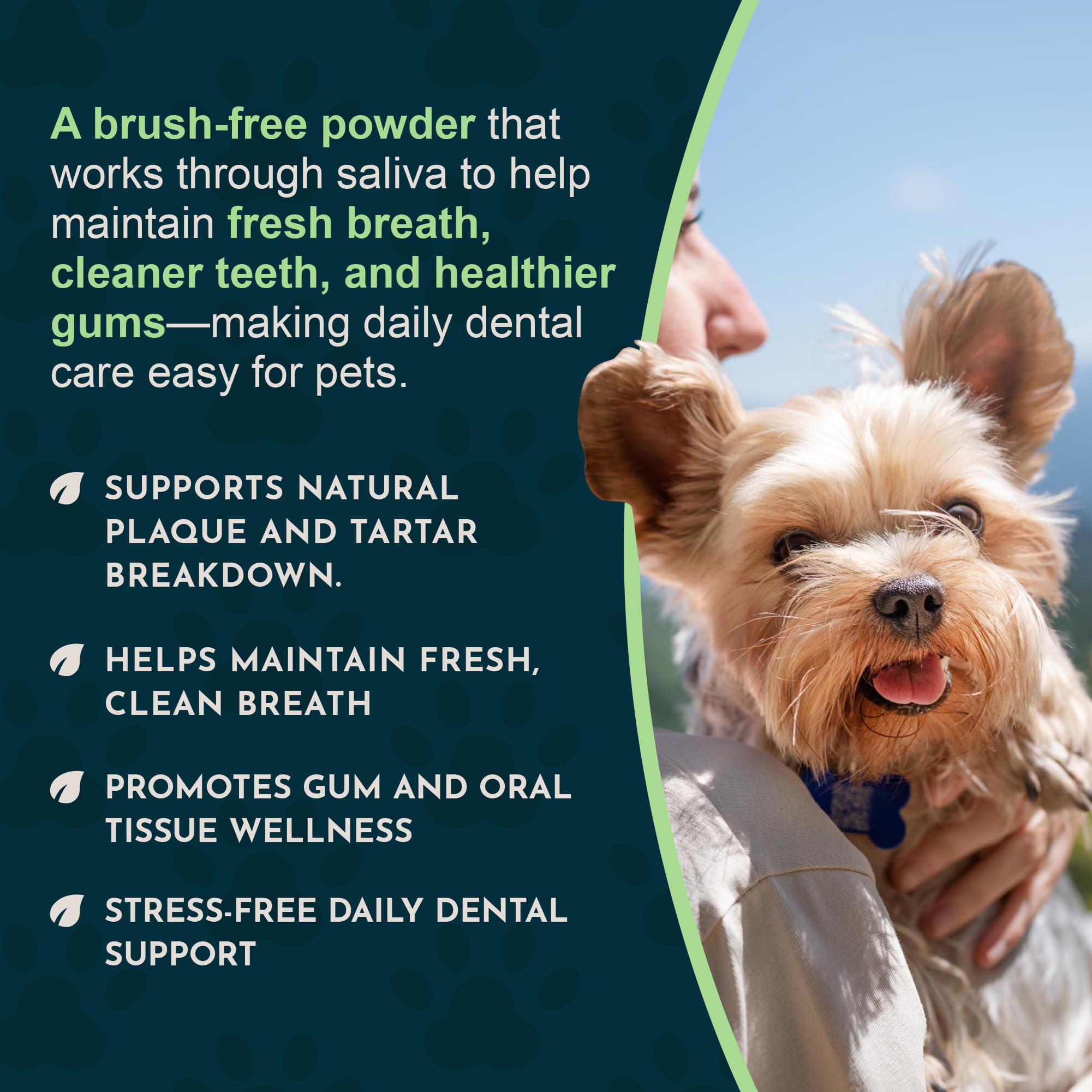 Animal Essentials Sea‑Dent comparaison de taille avec main pour dosage visuel