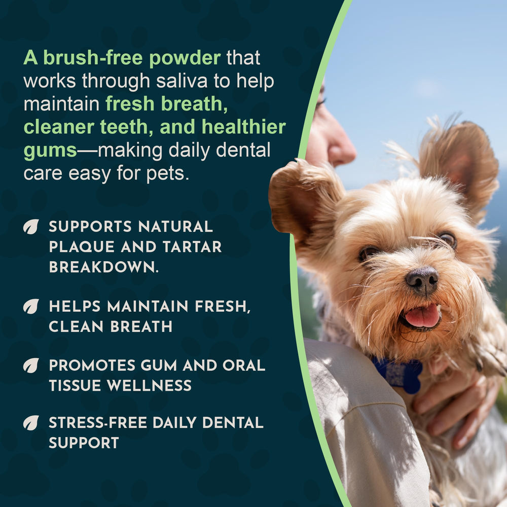 Animal Essentials Sea‑Dent comparaison de taille avec main pour dosage visuel