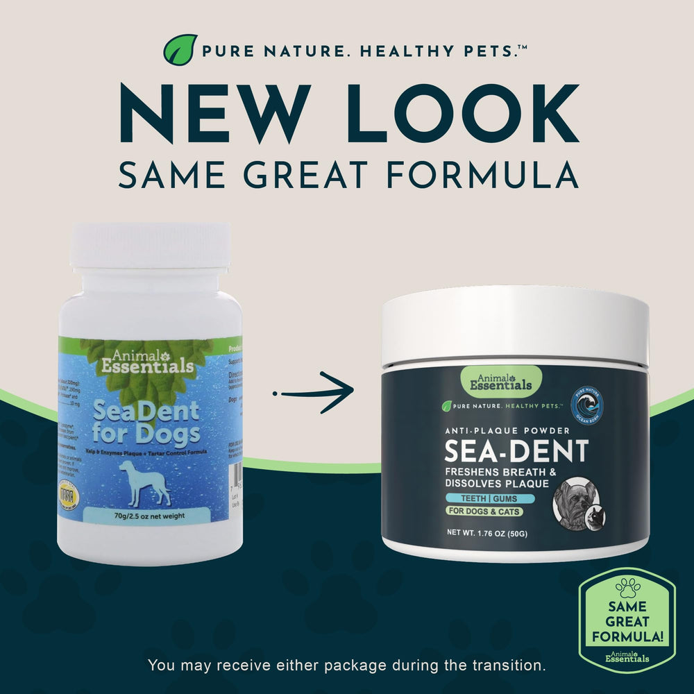 Animal Essentials Sea‑Dent poudre gros plan montrant texture fine bénéfique