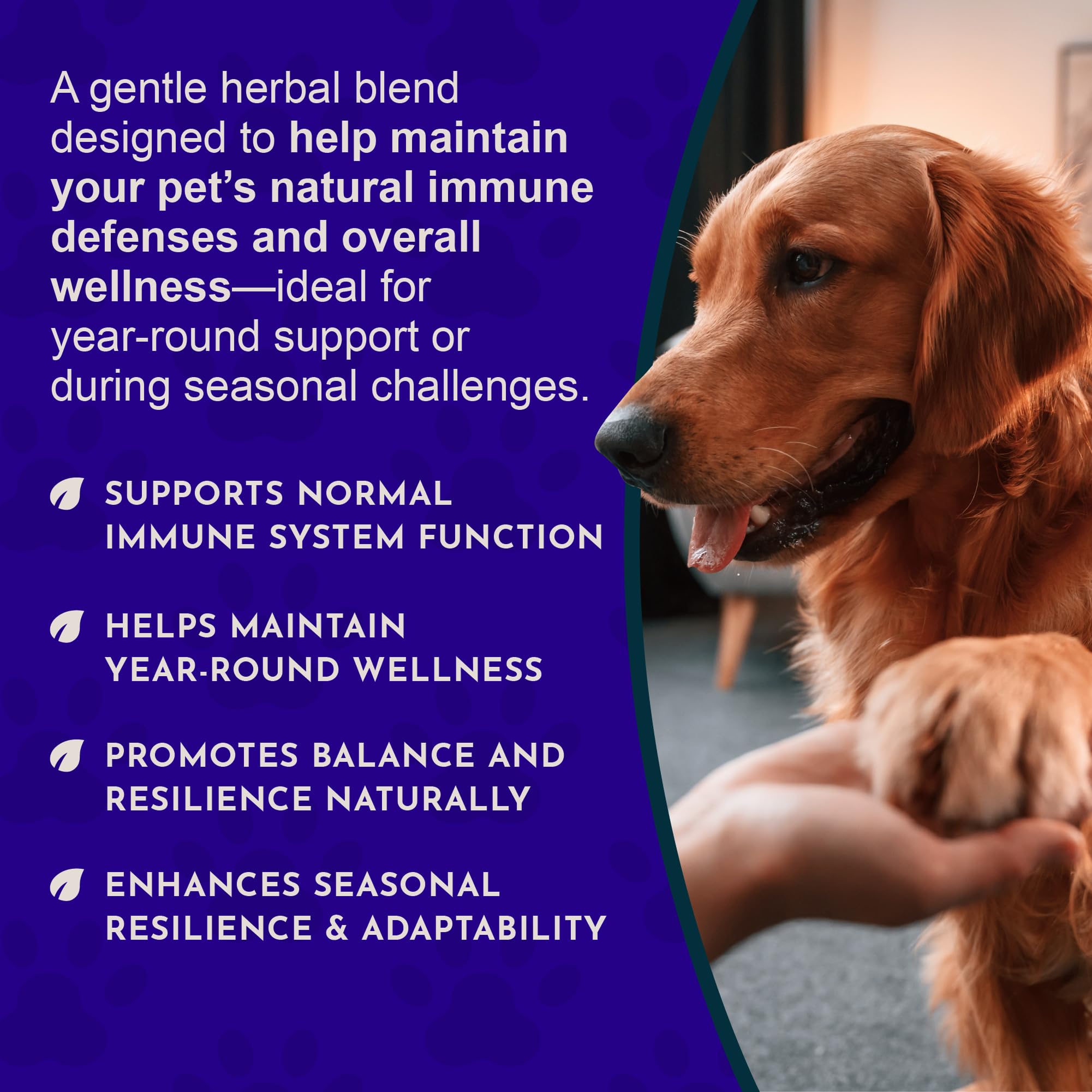 Animal Essentials bouteille posée près de gamelle, bénéfice intégration facile au repas