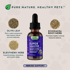 Animal Essentials compte-gouttes en gros plan, bénéfice dosage précis et contrôlé