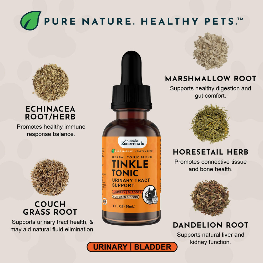 Animal Essentials gouttes versées depuis le flacon pour un dosage précis et sans alcool