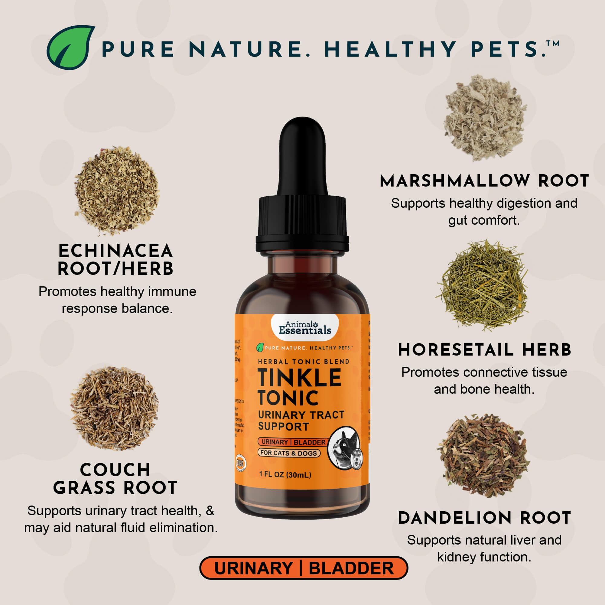 Animal Essentials gouttes sur cuillère démontrant administration simple