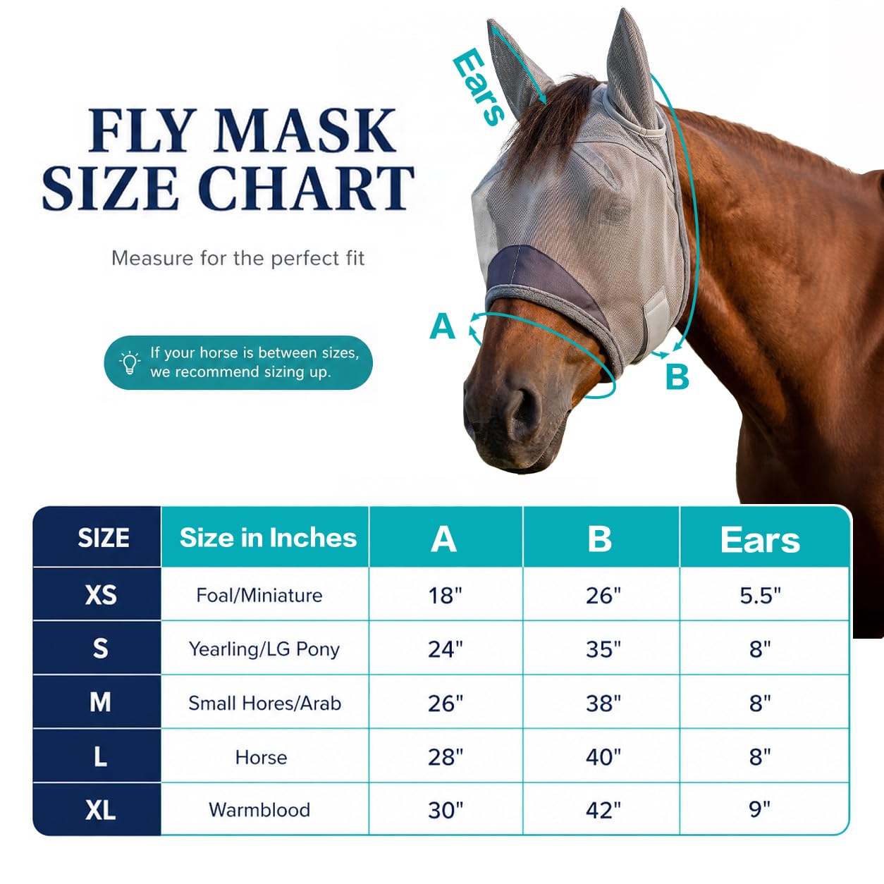 Animal-Gifts cheval au pâturage avec masque pour tranquillité