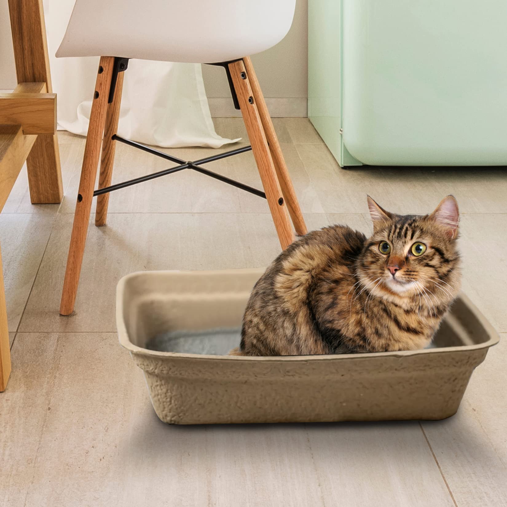 Animaru pictogrammes écologiques et compostabilité pour choix durable