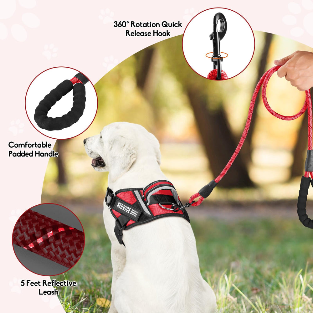 Animire comparaison taille XS illustrant ajustement précis