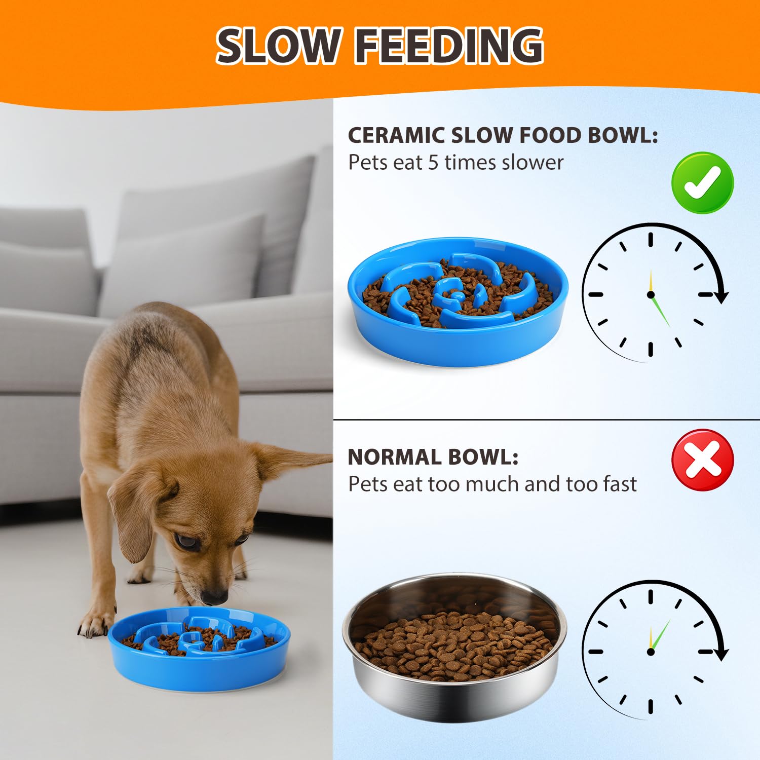 Anipaw bol rempli de croquettes facilitant l'alimentation lente du chien