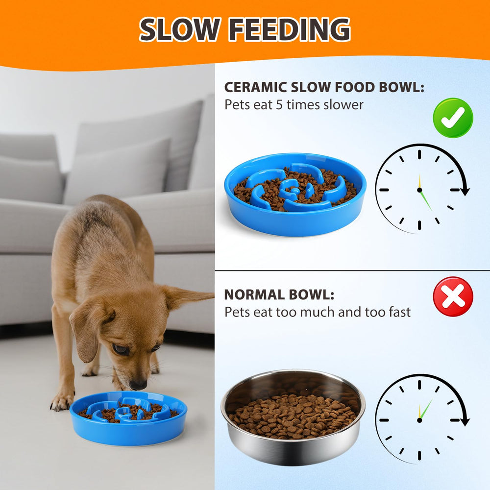 Anipaw bol rempli de croquettes facilitant l'alimentation lente du chien