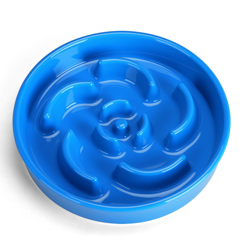 Anipaw bol céramique face montrant le motif floral pour ralentir l'alimentation
