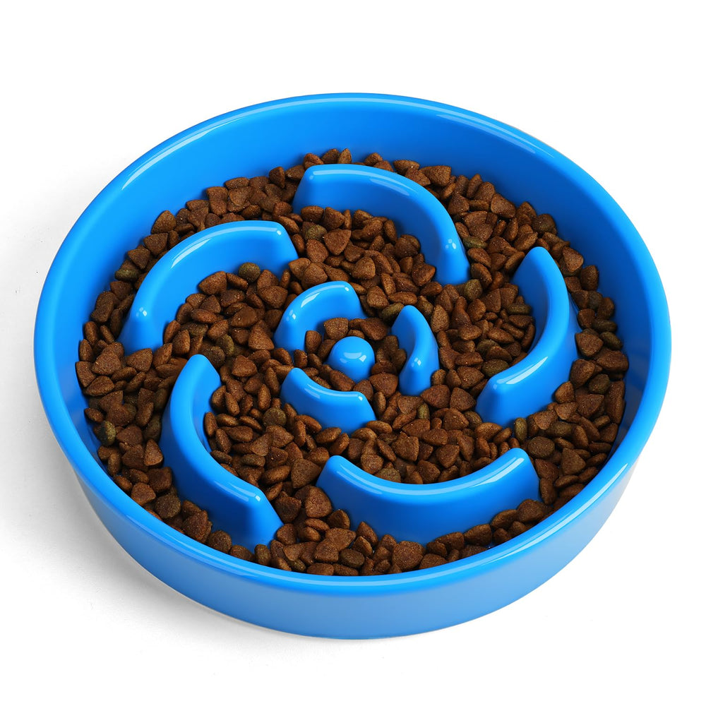 Anipaw gros plan labyrinthe floral illustrant la texture utile pour stimuler le chien