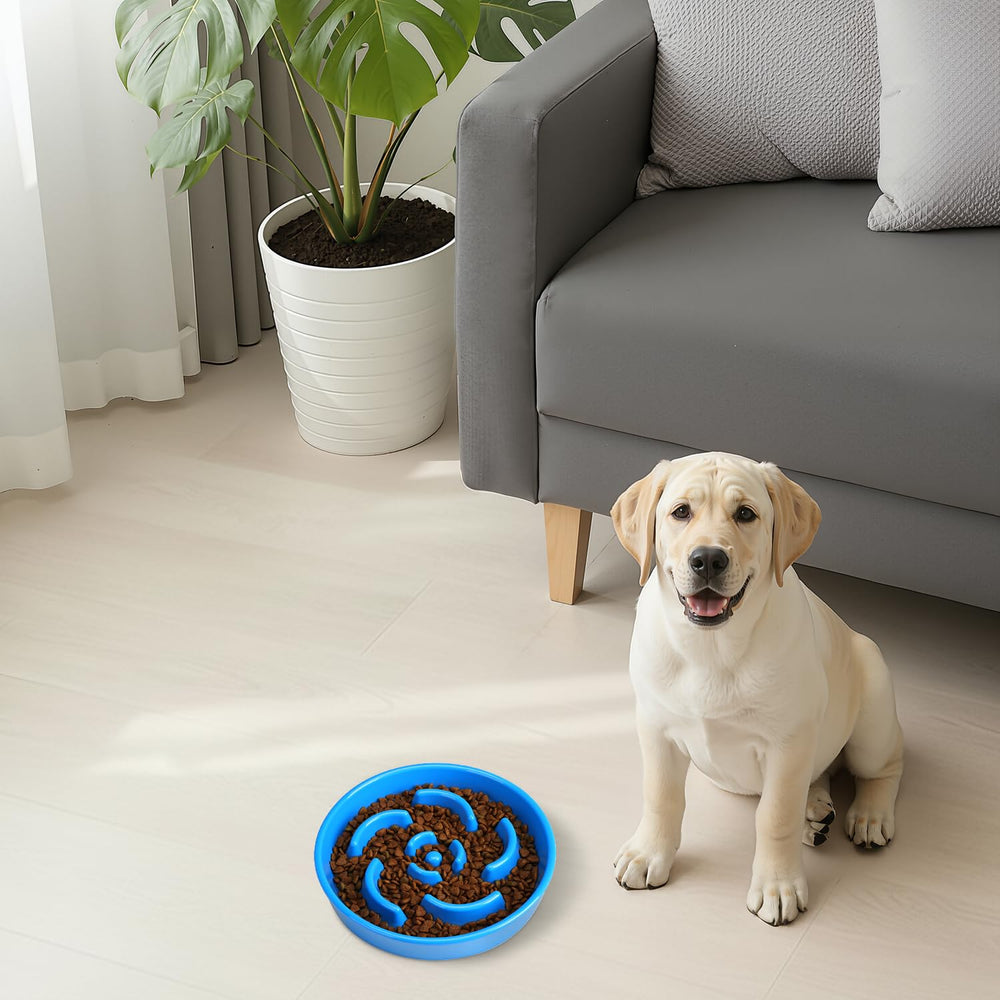 Anipaw bol posé sur plan de travail moderne esthétique et fonctionnel