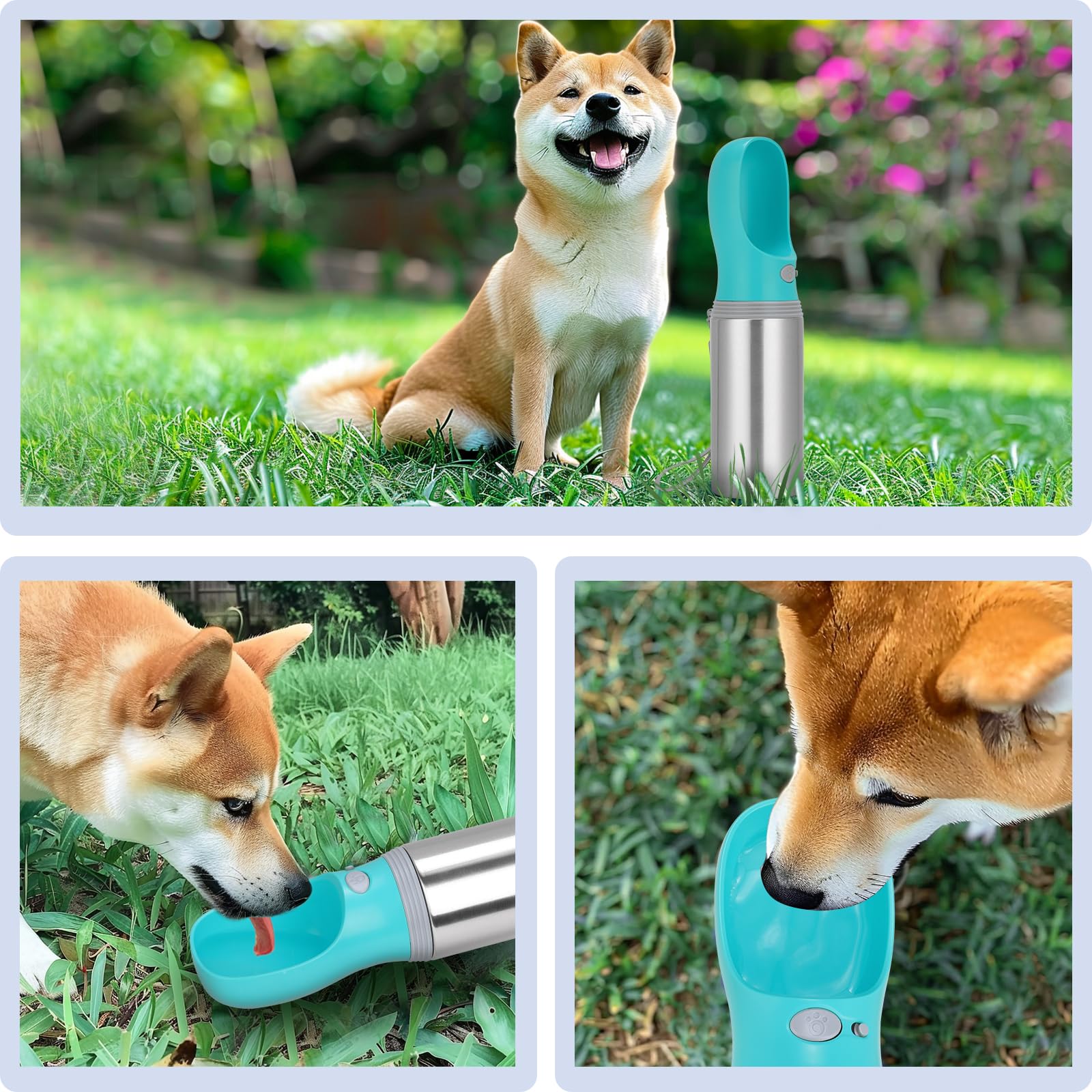 Anipaw gourde rangée dans un sac montrant transport sans fuite