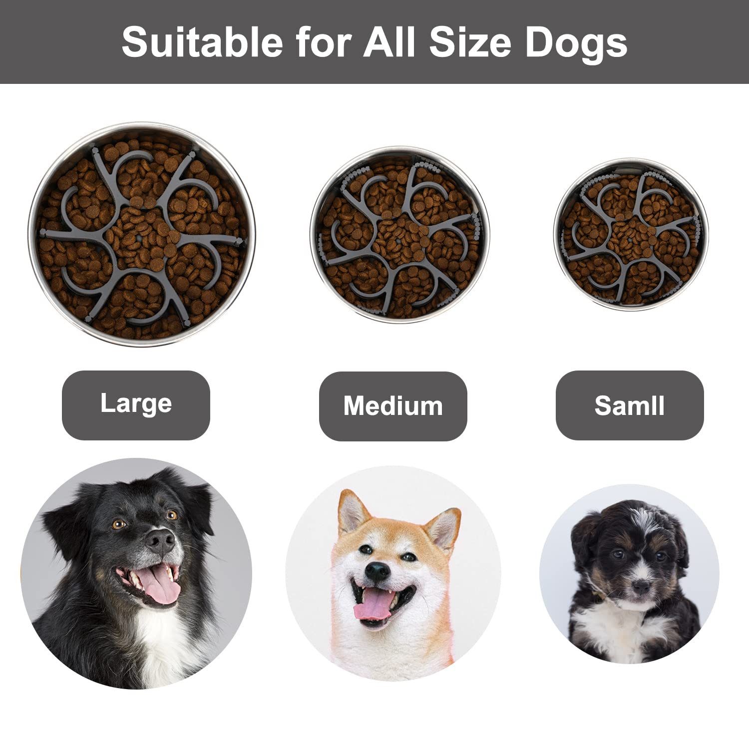 Insert Anipaw installé dans bol pendant que chien prend son repas plus lentement