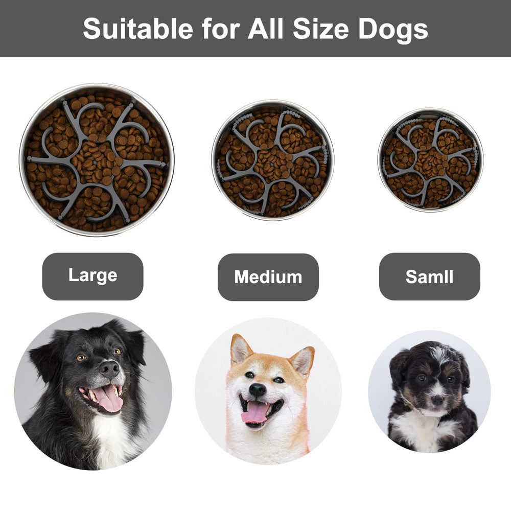 Insert Anipaw installé dans bol pendant que chien prend son repas plus lentement