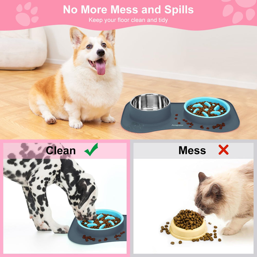 Anipaw comparaison taille montre capacité adaptée portions contrôlées