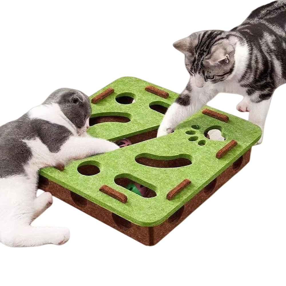 ANIS · KEBBR labyrinthe face avant montrant la structure de jeu pour stimulation