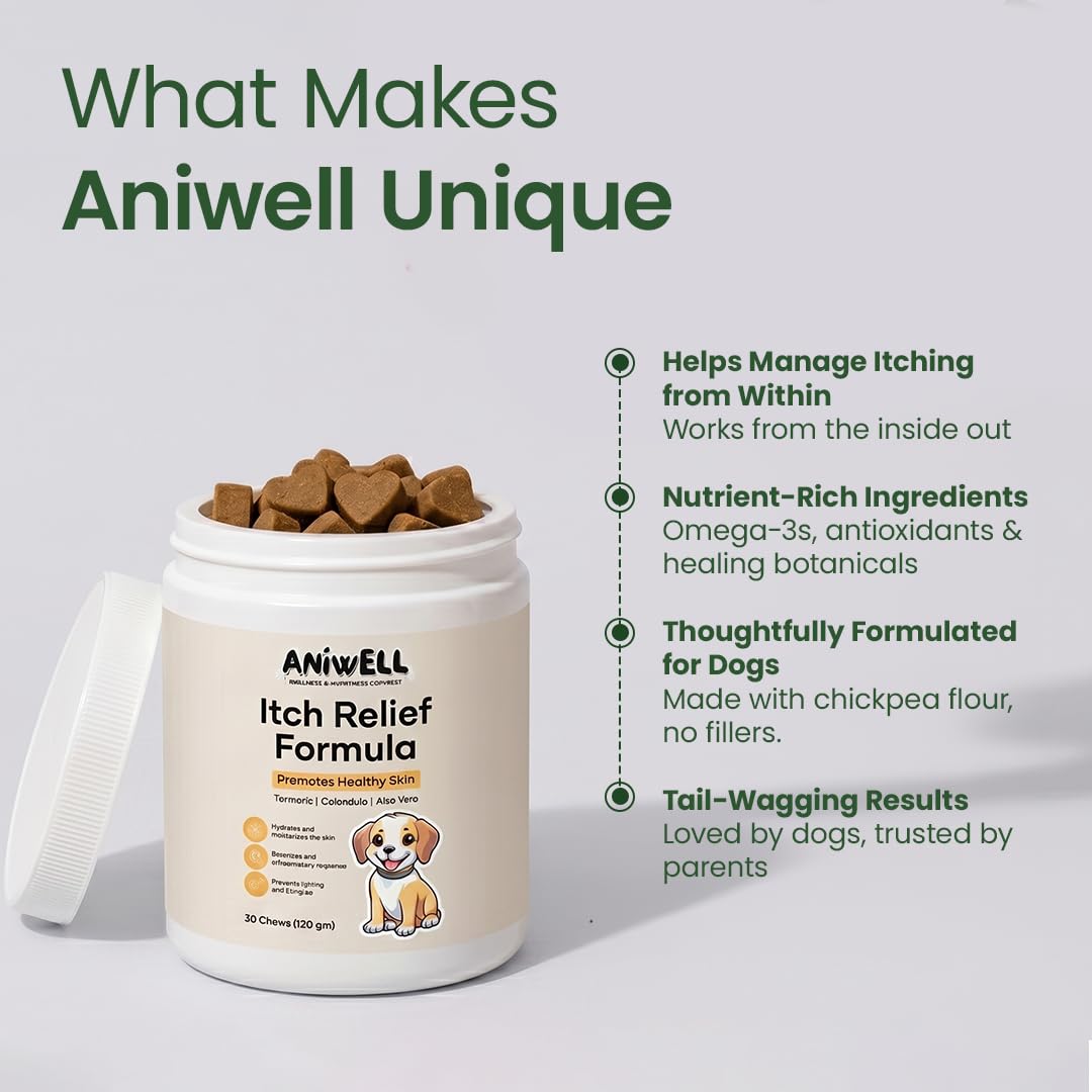 Aniwell détail des ingrédients actifs illustrant oméga‑3 et antioxydants pour la peau
