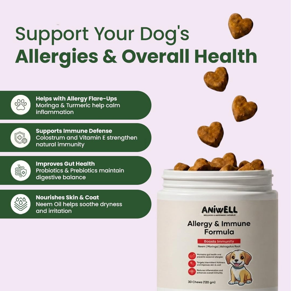 Aniwell chiot mange bouchée quotidiennement pour soutien immunitaire