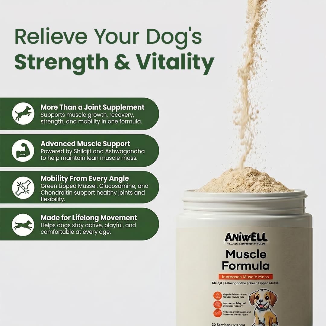 Aniwell cuillère mesure indiquant dosage facile quotidien pour chiens