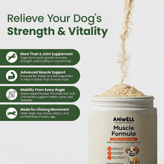 Aniwell cuillère mesure indiquant dosage facile quotidien pour chiens