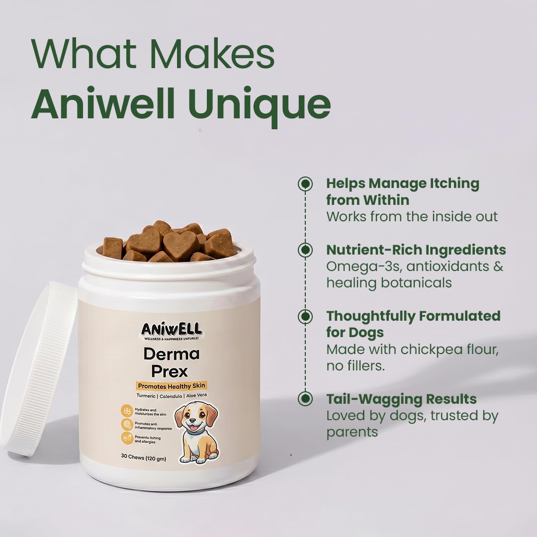 Aniwell DermaPrex chien acceptant la friandise, confort d'utilisation immédiat