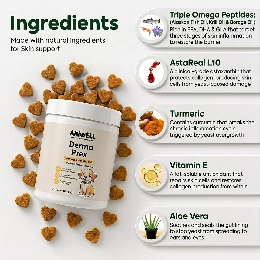 Aniwell DermaPrex friandise au saumon montrée de près, appétence élevée