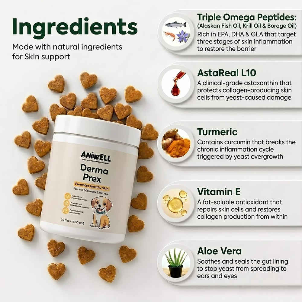 Aniwell DermaPrex friandise au saumon montrée de près, appétence élevée