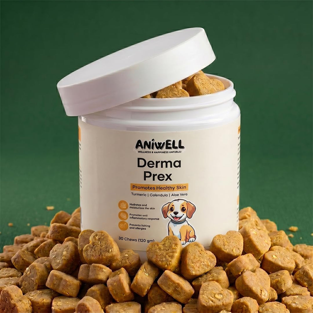 Aniwell DermaPrex scène lifestyle chien et propriétaire, pelage plus brillant