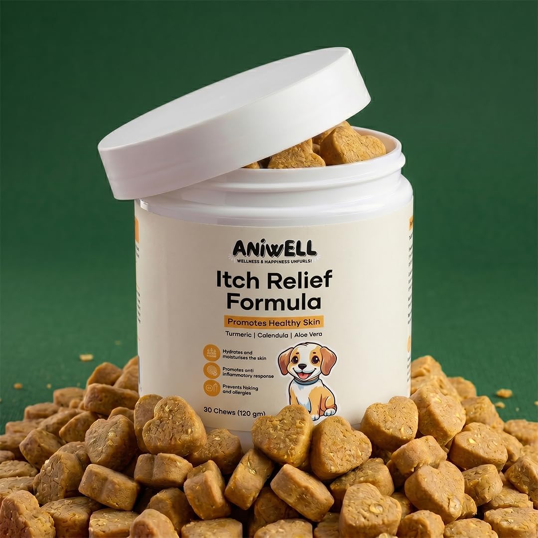 Aniwell style de vie avec chien calme et pelage brillant grâce au soutien cutané