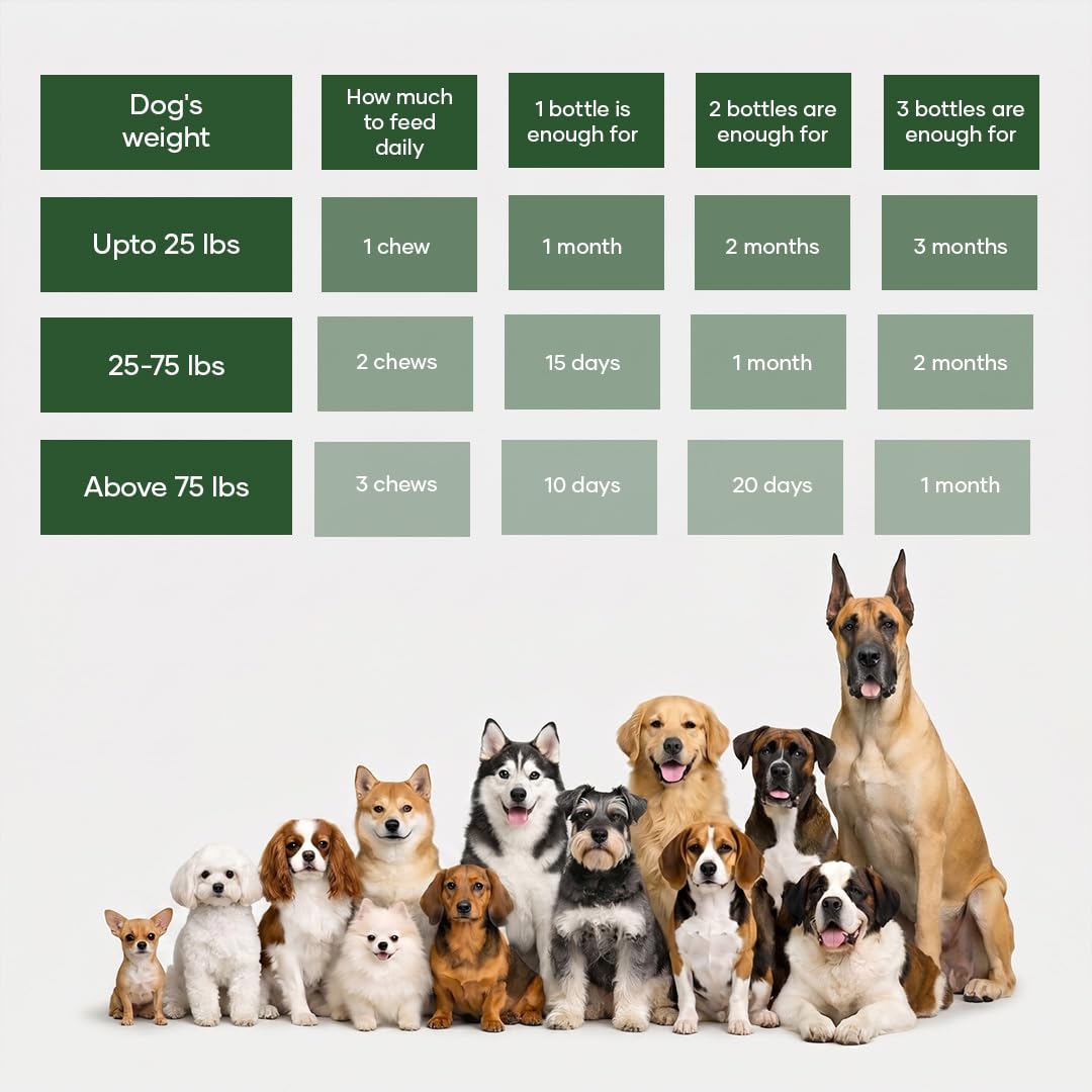Aniwell chien au pelage brillant après usage pour confort cutané