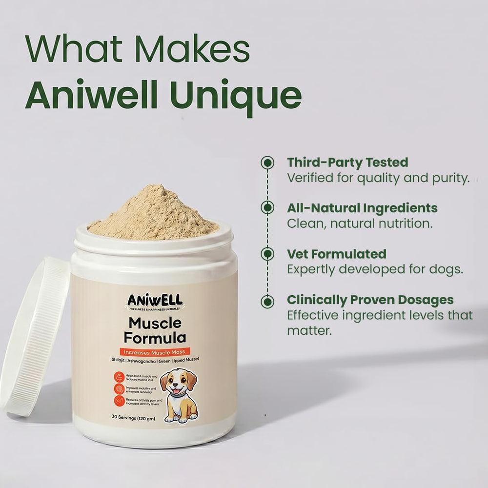 Aniwell gros plan poudre illustrant texture fine et mélange homogène