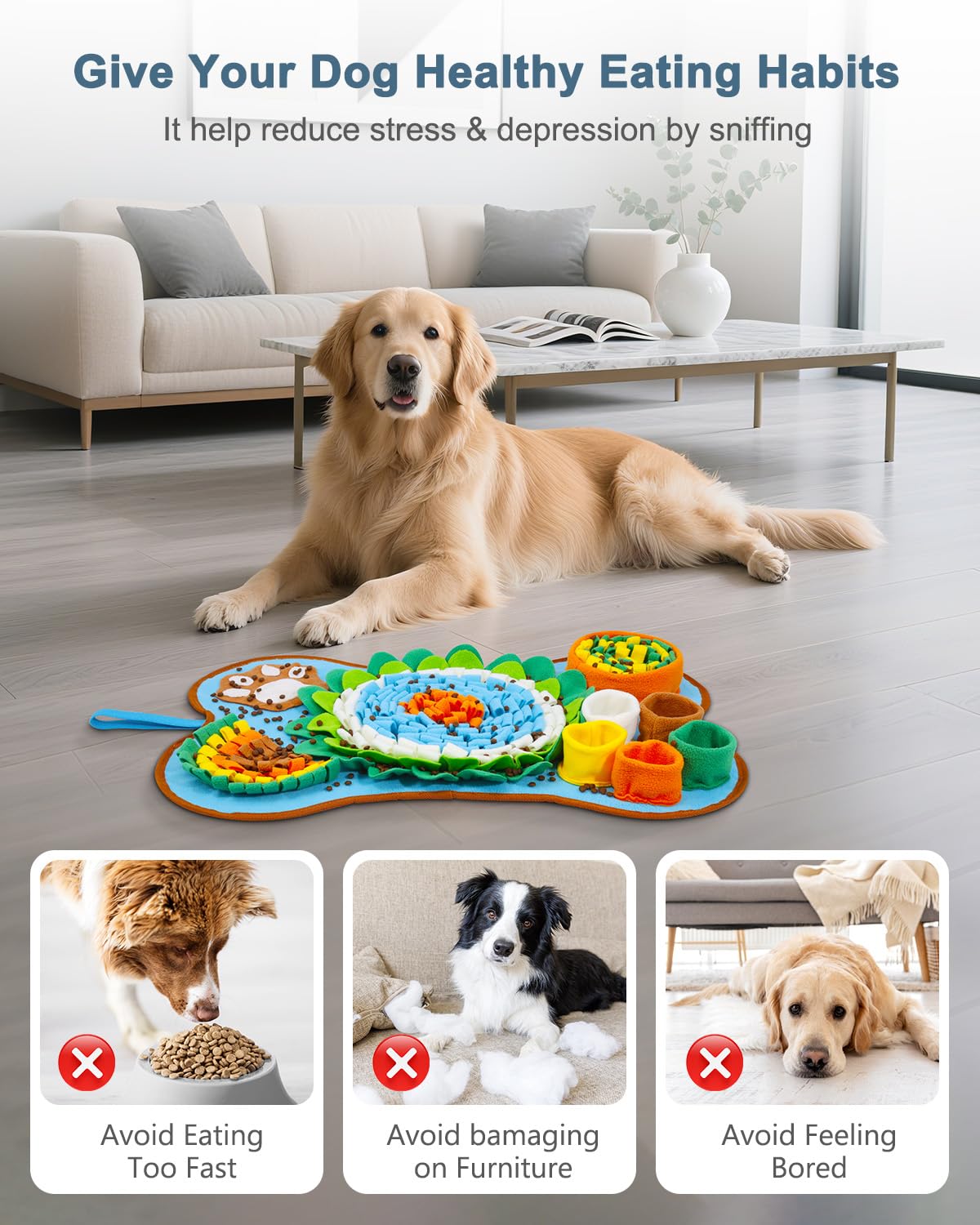 Ankilo tapis en situation intérieure montrant interaction chien-propriétaire apaisante