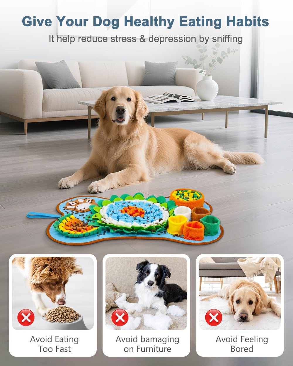 Ankilo tapis en situation intérieure montrant interaction chien-propriétaire apaisante
