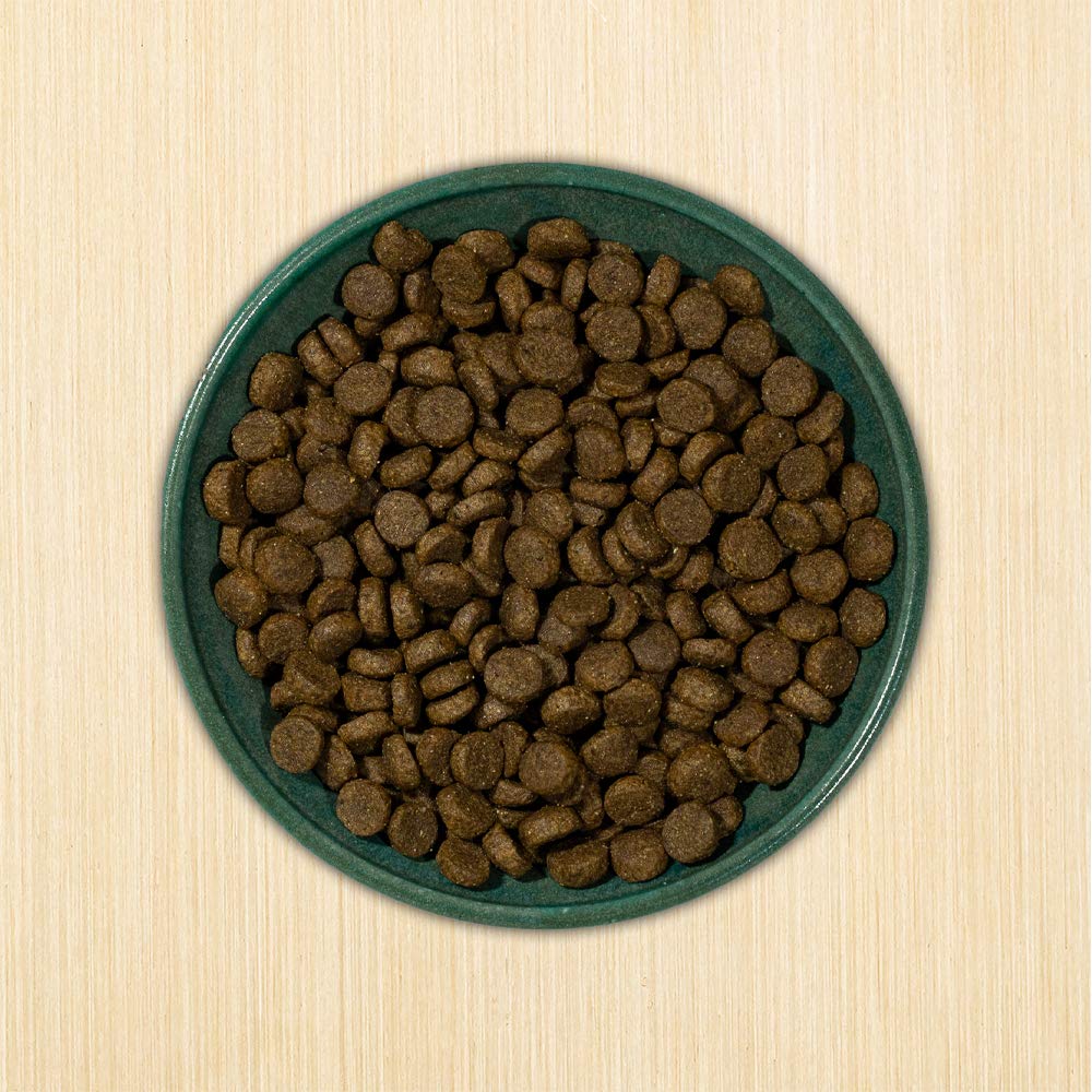 Annamaet Option chien consommant les croquettes, appétit et digestibilité