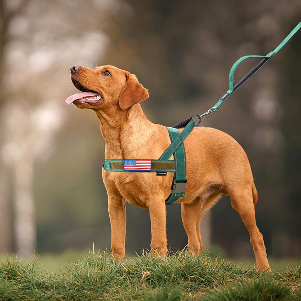 Annchwool zone velcro avec deux patchs personnalisables pour identification