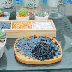 Anothera gravier utilisé comme top dressing sur pots de succulentes pour contraste visuel