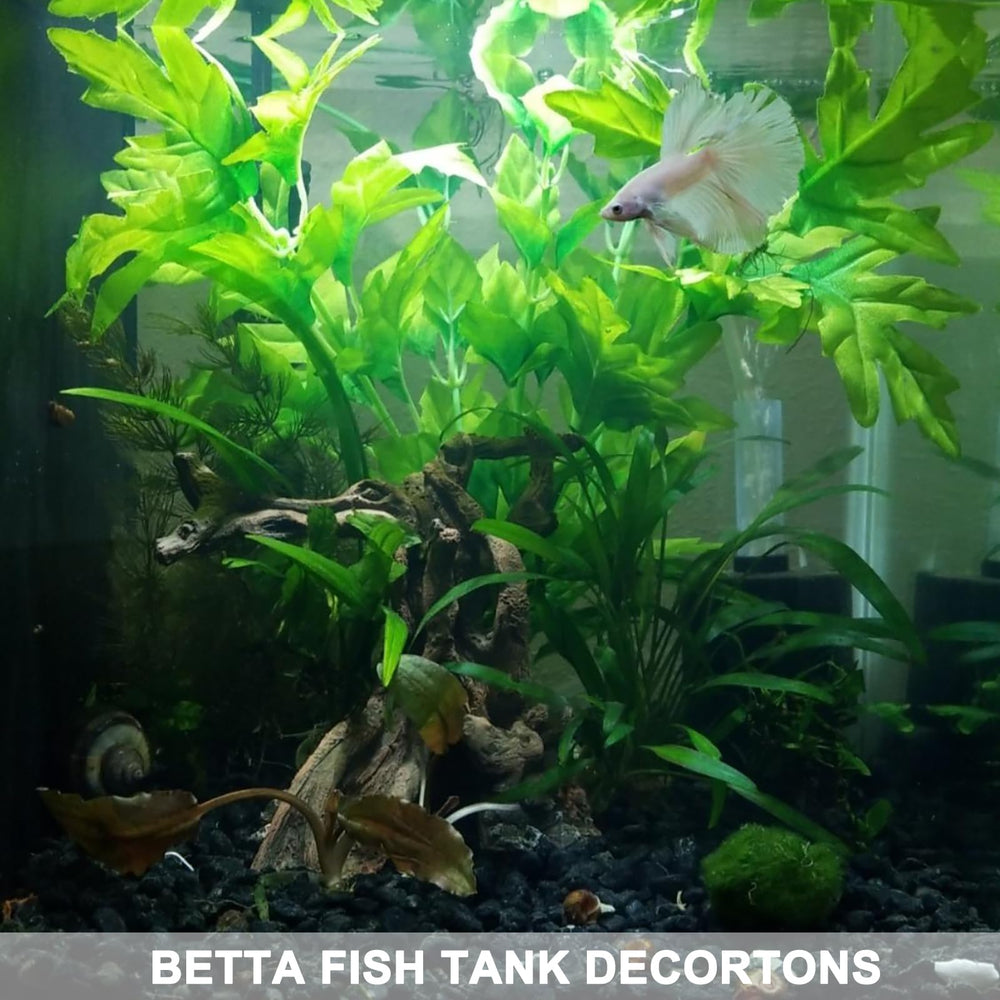 Anranmm tronc dans terrarium avec gecko offrant surface d'escalade