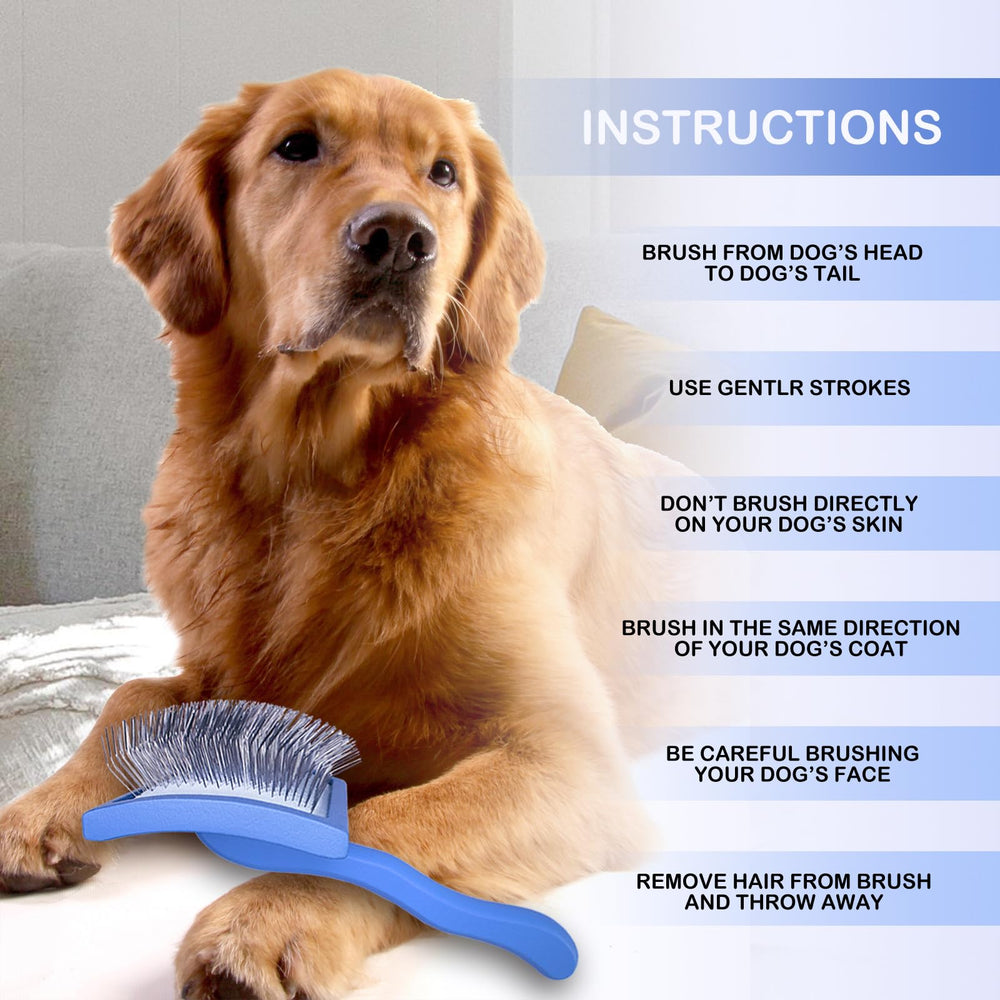 Anrundar brosse en action sur chien pour un pelage lisse
