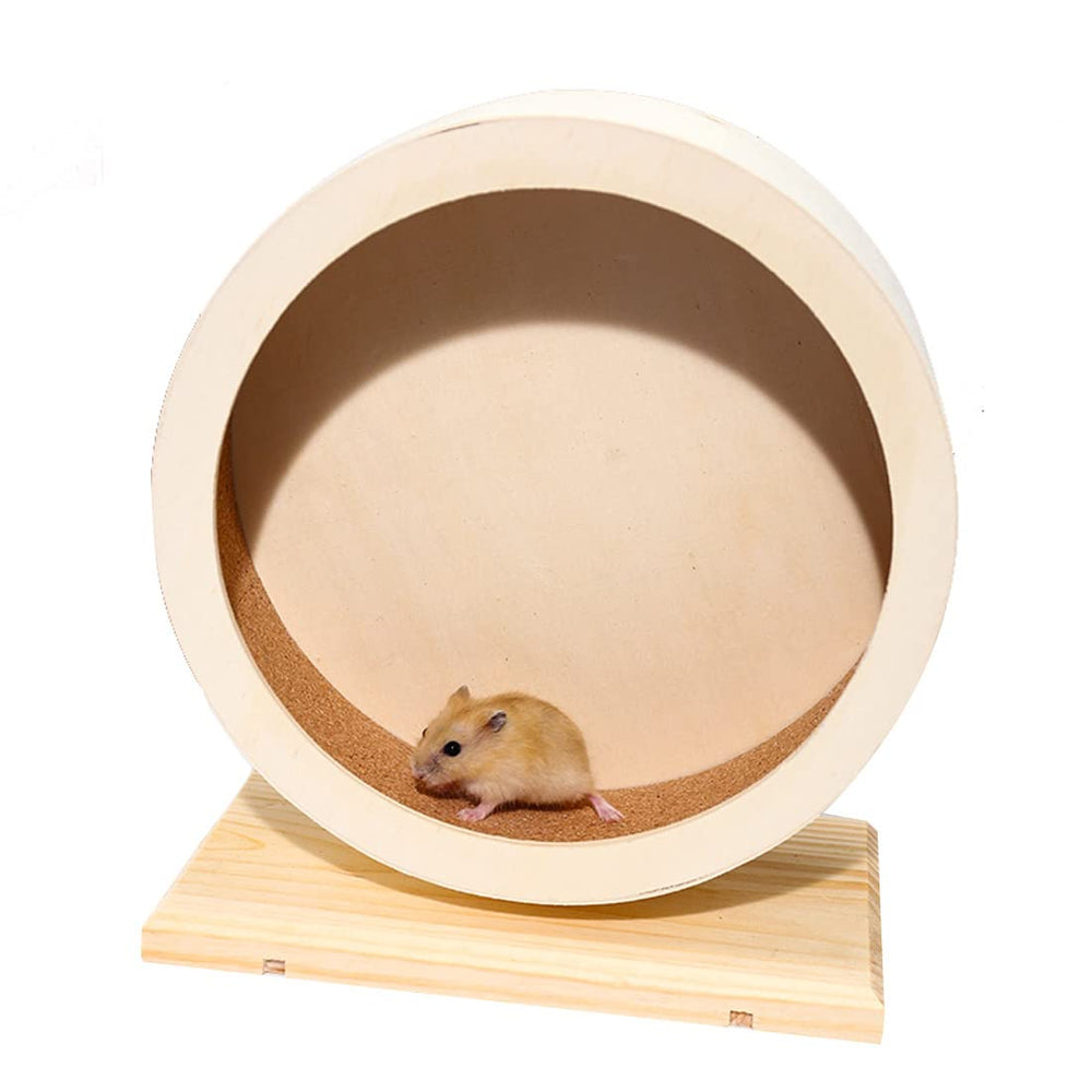 antiai roue bois vue de face montrant surface de course et confort
