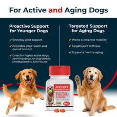 Antinol bocal ouvert avec soft gels offrant confort articulaire pratique