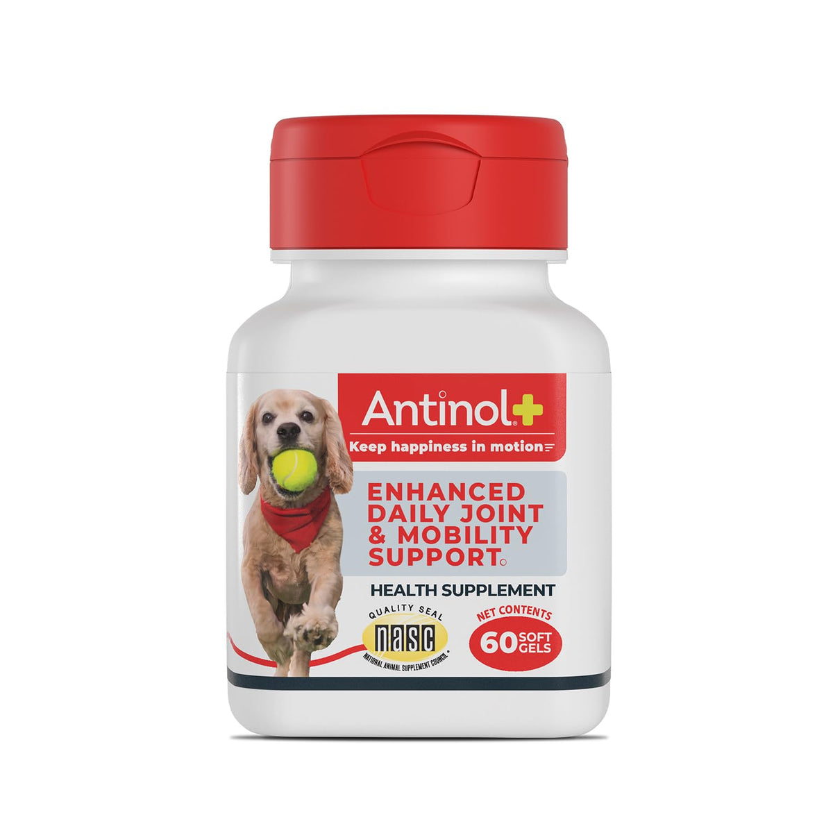 Antinol boîte avant montrant 60 gélules Antinol pour administration facile