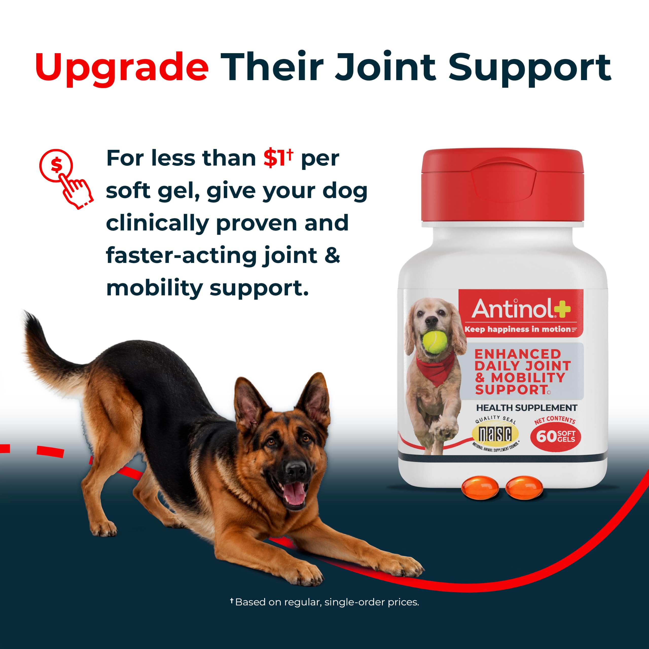 Antinol plus chien jouant sur l'herbe démontrant regain de mobilité