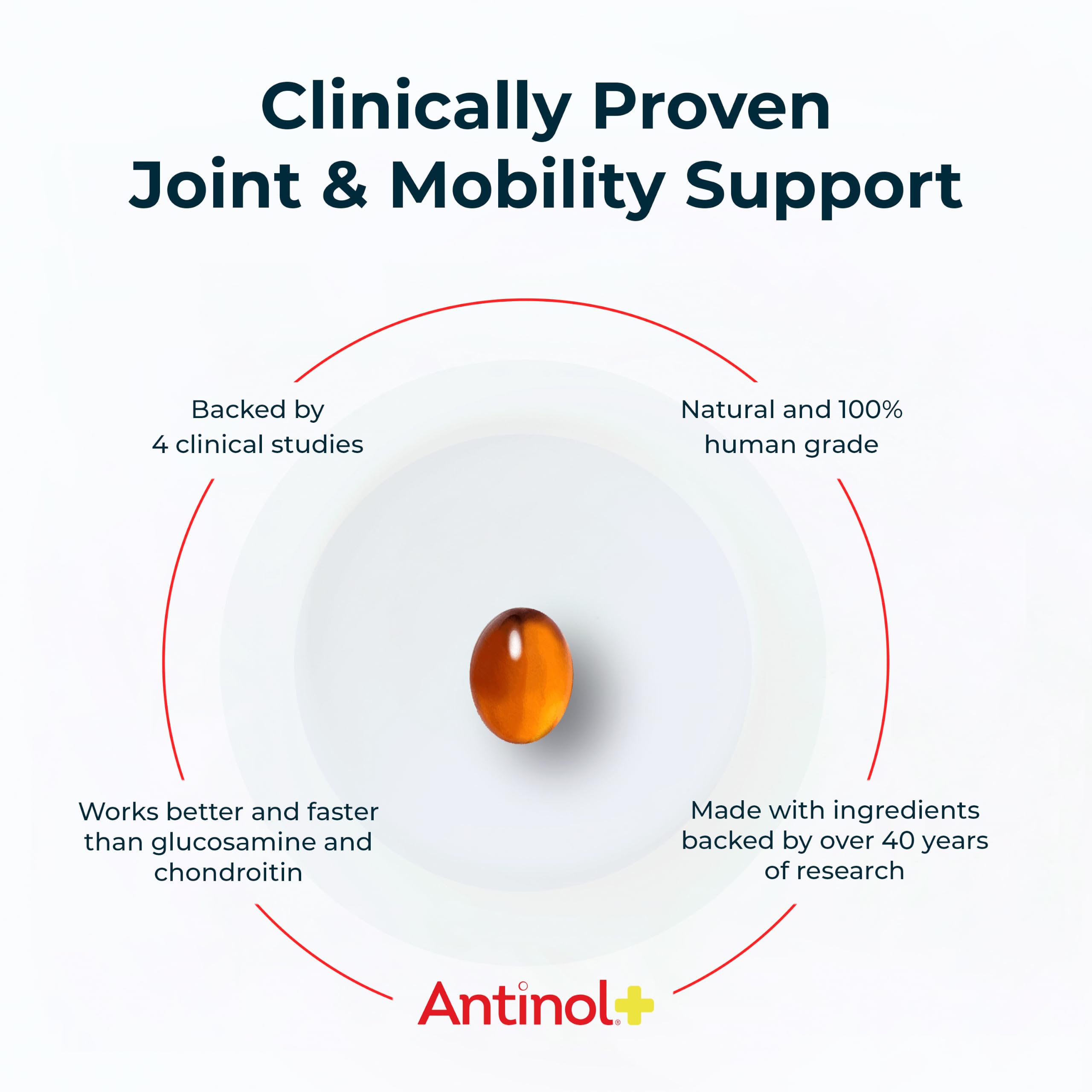 Antinol gros plan soft gels montrant texture et absorption optimale
