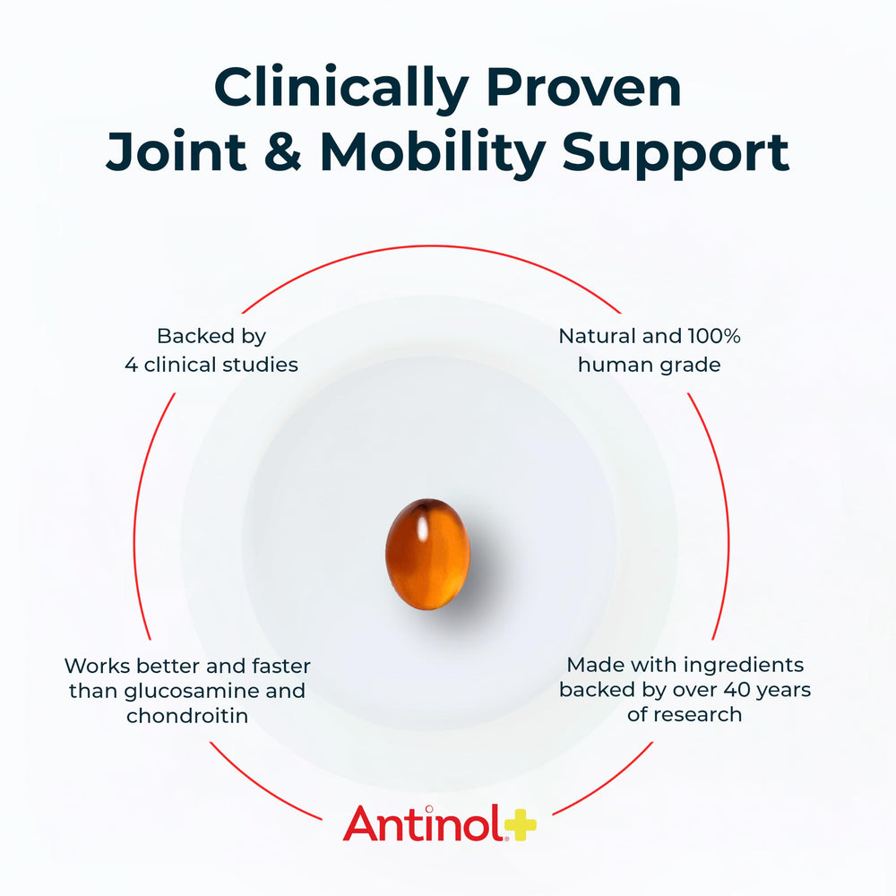 Antinol gros plan soft gels montrant texture et absorption optimale