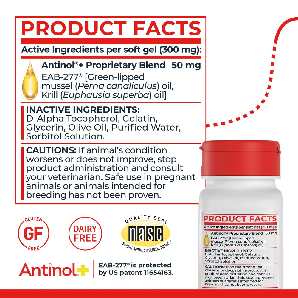 Antinol zoom sur huile montrant qualité marine et absorption efficace