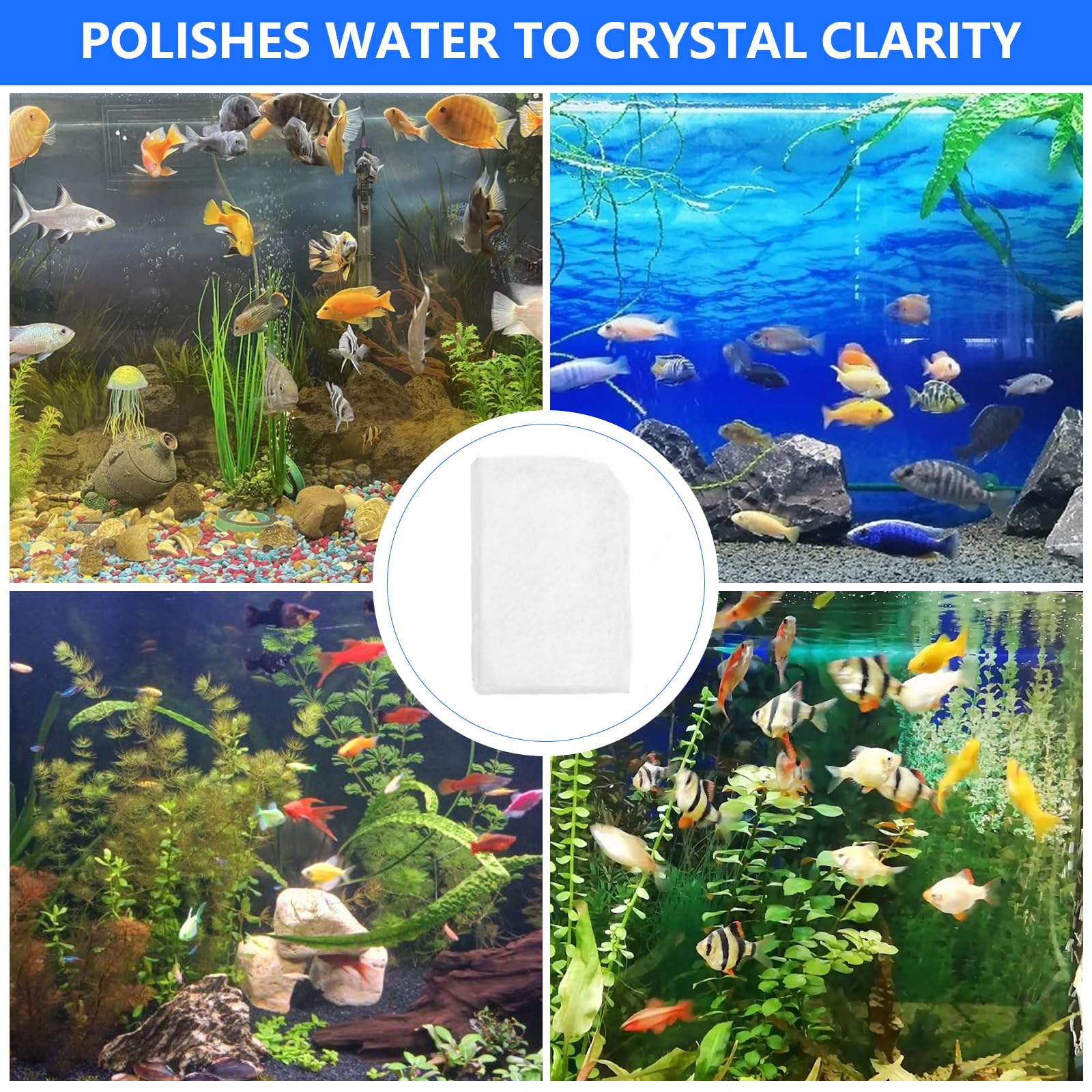 Antrys aquarium à eau claire démontrant bénéfice visuel après polissage