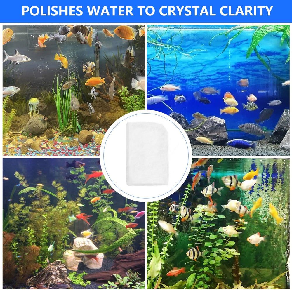 Antrys aquarium à eau claire démontrant bénéfice visuel après polissage