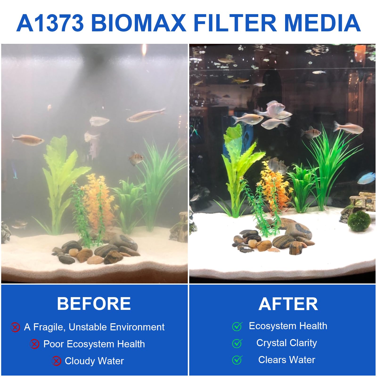 Antrys média dans aquarium clarifiant visuellement l'eau pour santé