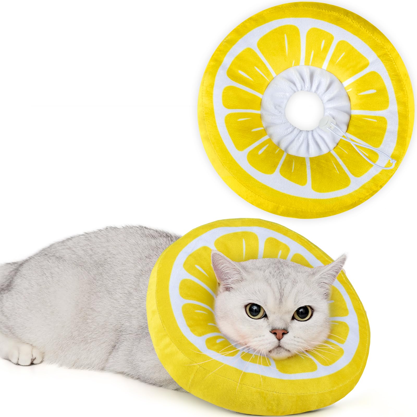 ANWA collier donut face avant montrant protection confortable