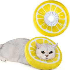 ANWA collier donut face avant montrant protection confortable